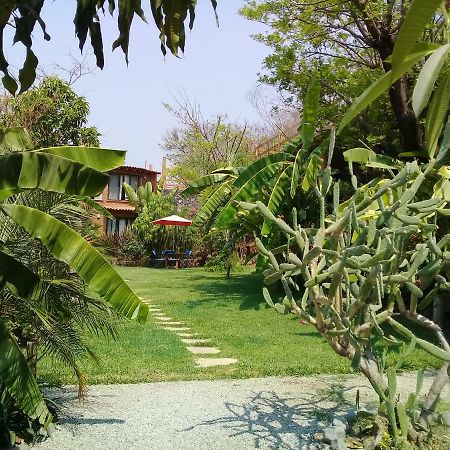 Hotel Cabanas El Nido De La Huilota Tepoztlán Exteriér fotografie