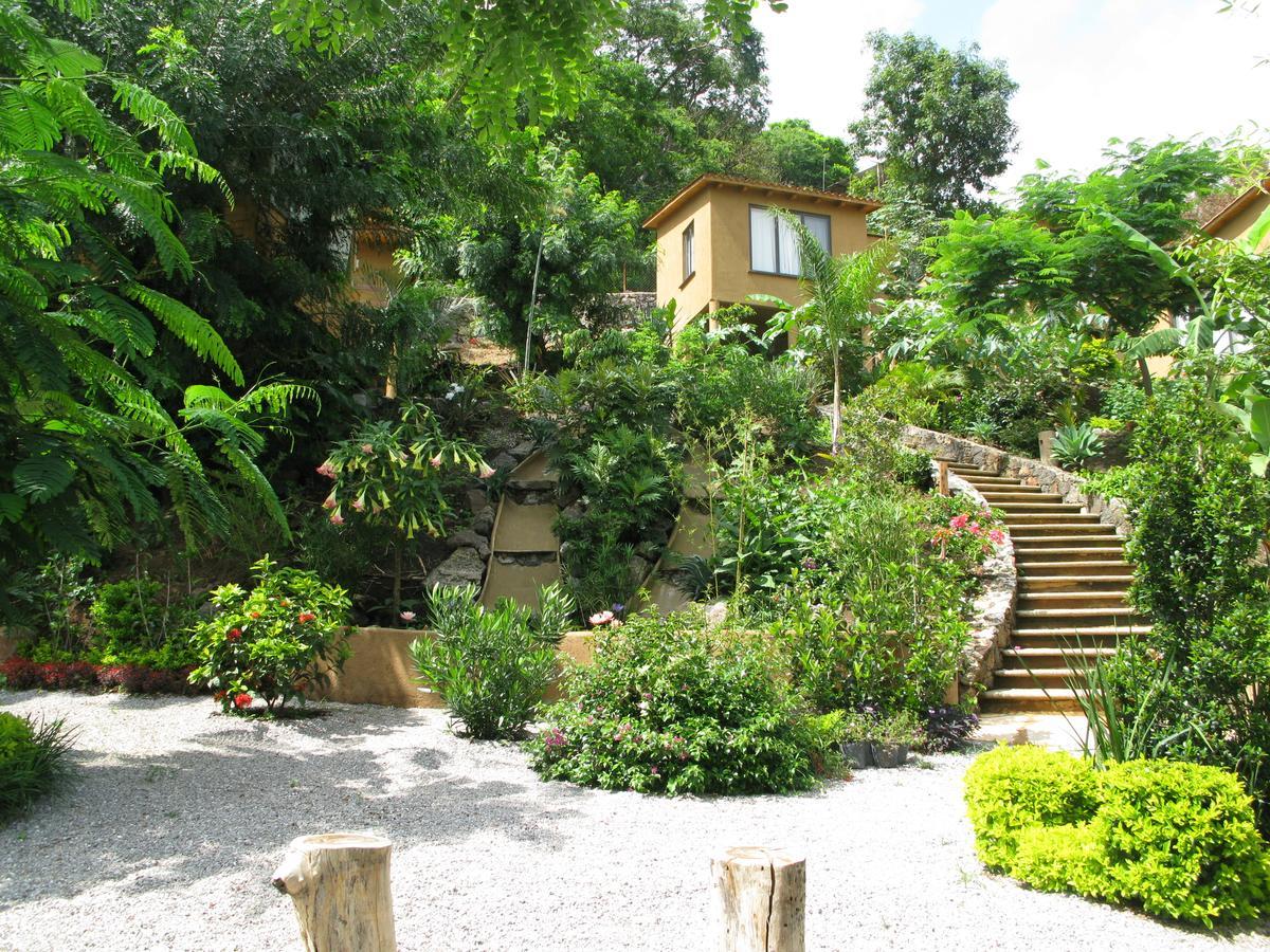 Hotel Cabanas El Nido De La Huilota Tepoztlán Exteriér fotografie