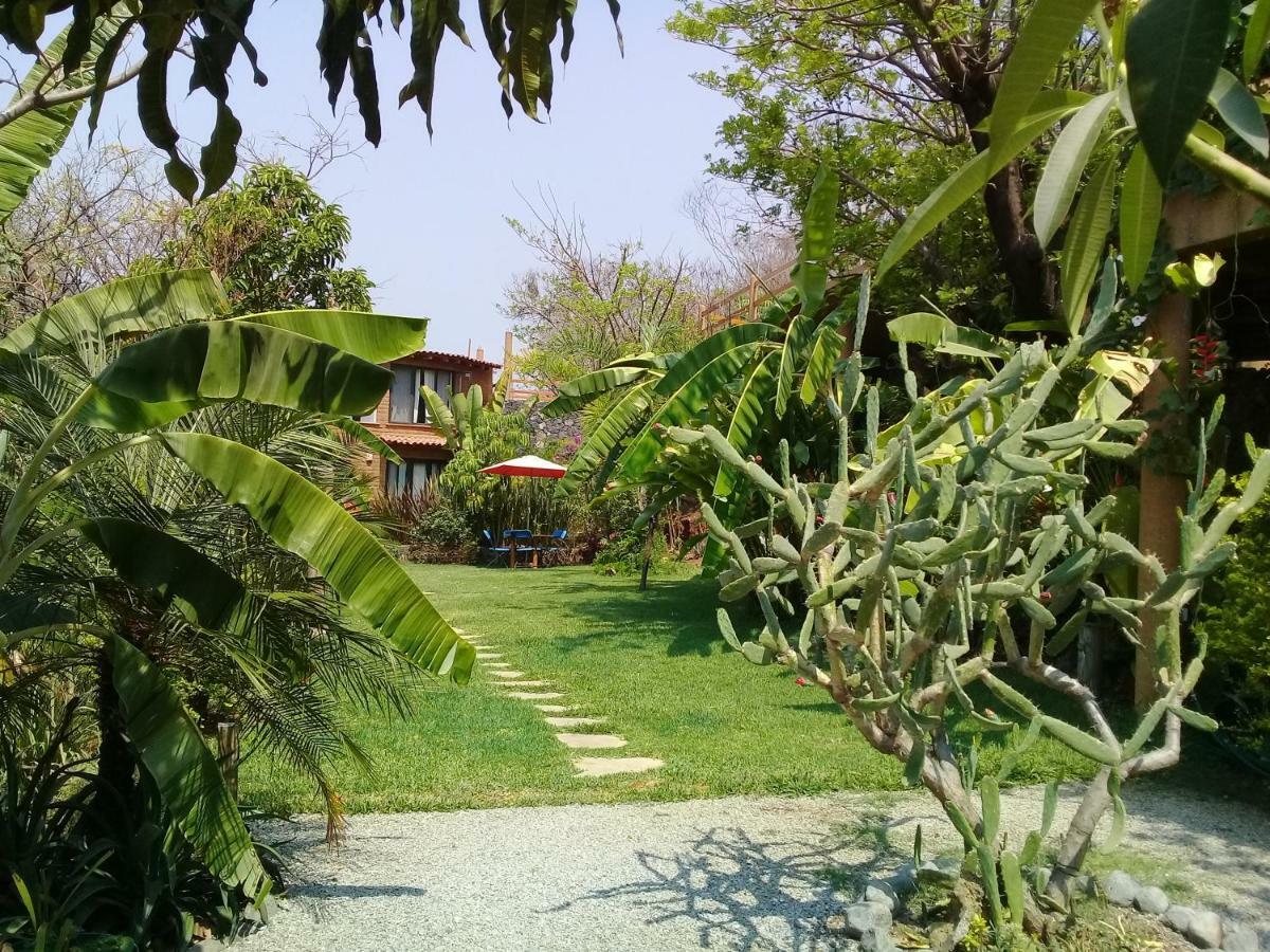 Hotel Cabanas El Nido De La Huilota Tepoztlán Exteriér fotografie